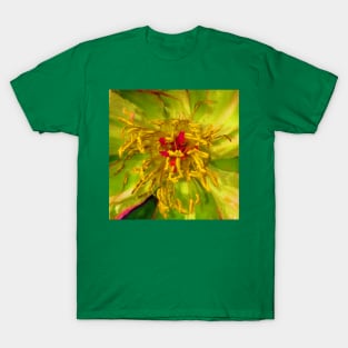 Macro of a flower T-Shirt